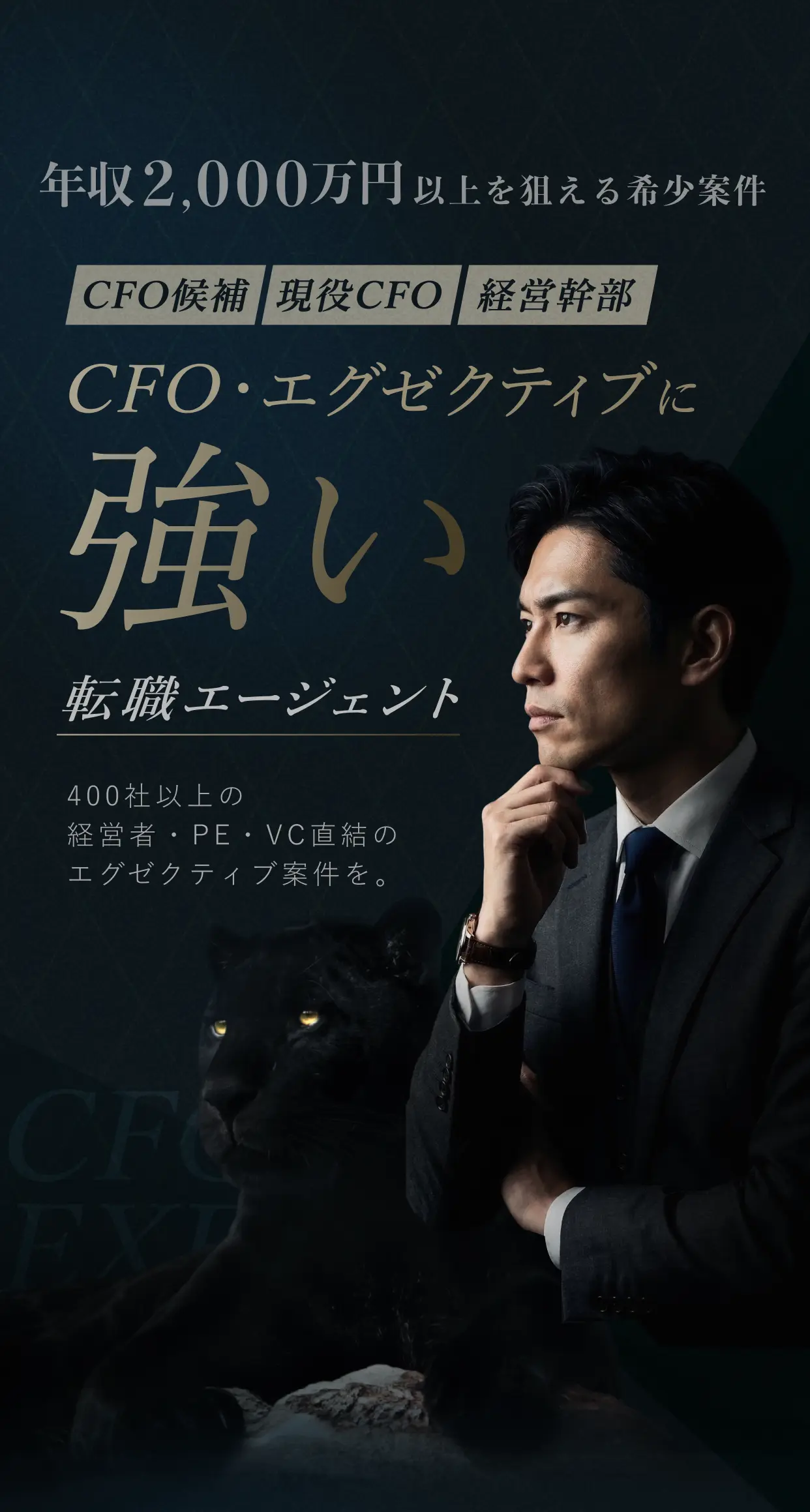 年収2,000万円以上を狙える希少案件 CFO候補・現役CFO・経営幹部 CFO・エグゼクティブに強い転職エージェント 400社以上の経営者・PE・VC直結のエグゼクティブ案件を。
